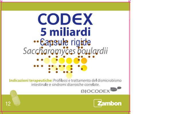 CODEX*12CPS 5MLD 250MG - latuafarmacia.org