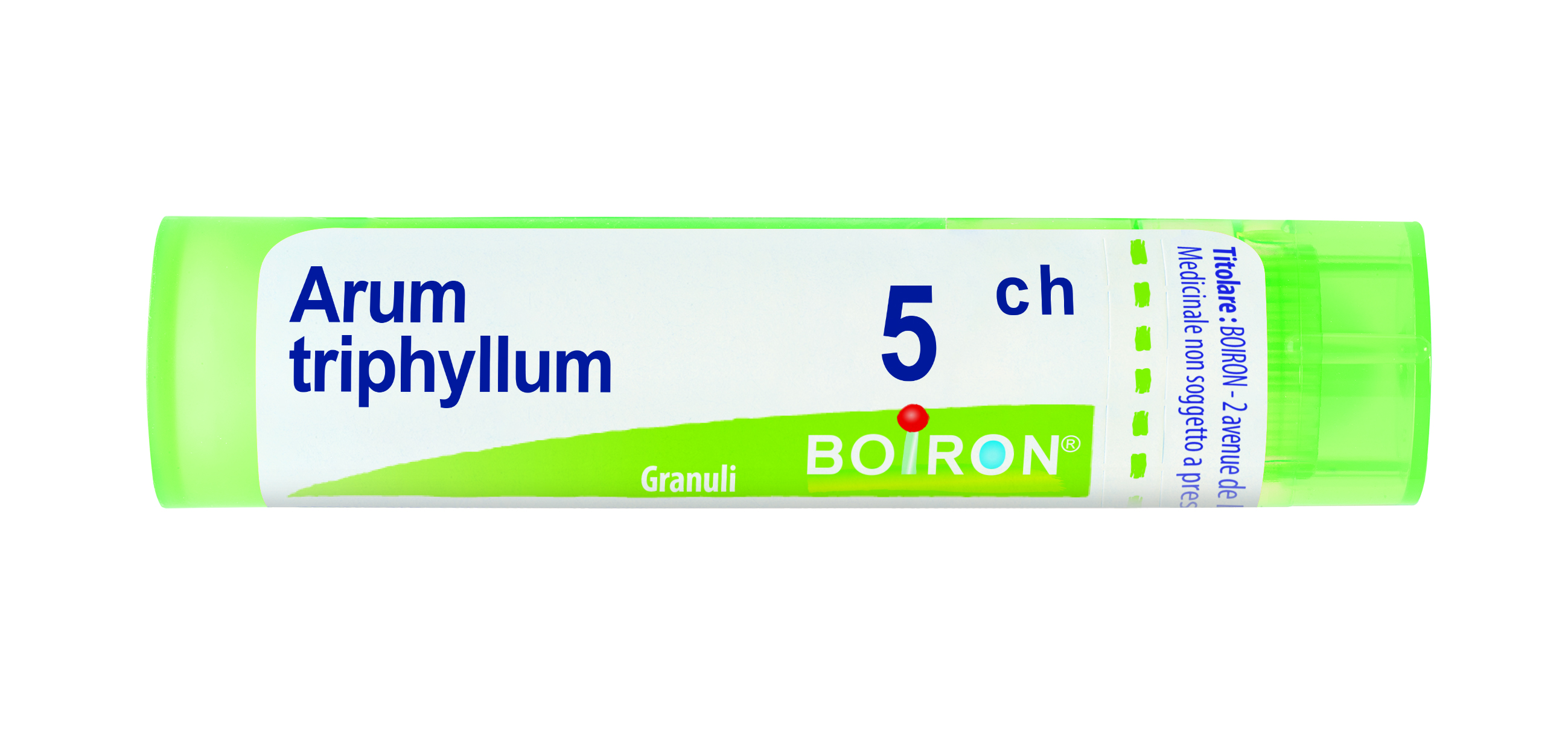 ARUM TRIPHYL BOI*5CH GR 4G - latuafarmacia.org