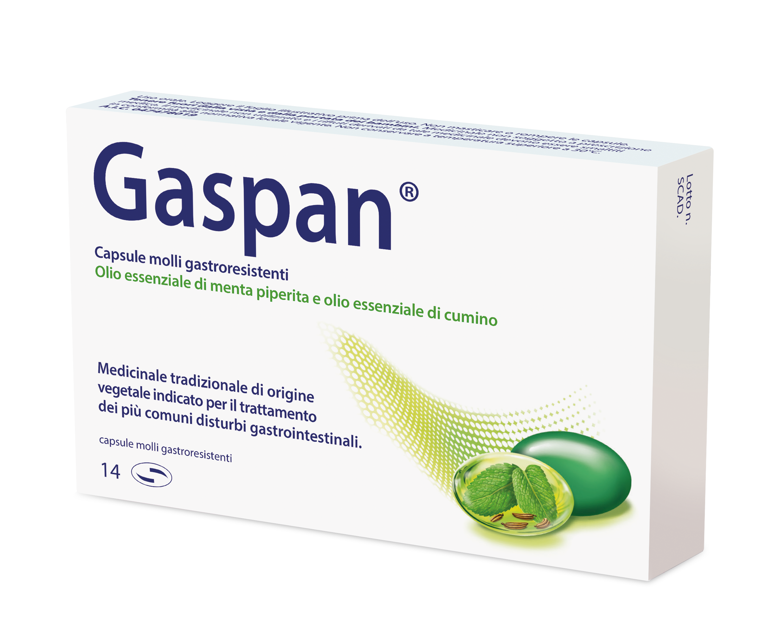 GASPAN*14CPS MOLLI GASTRORES - latuafarmacia.org