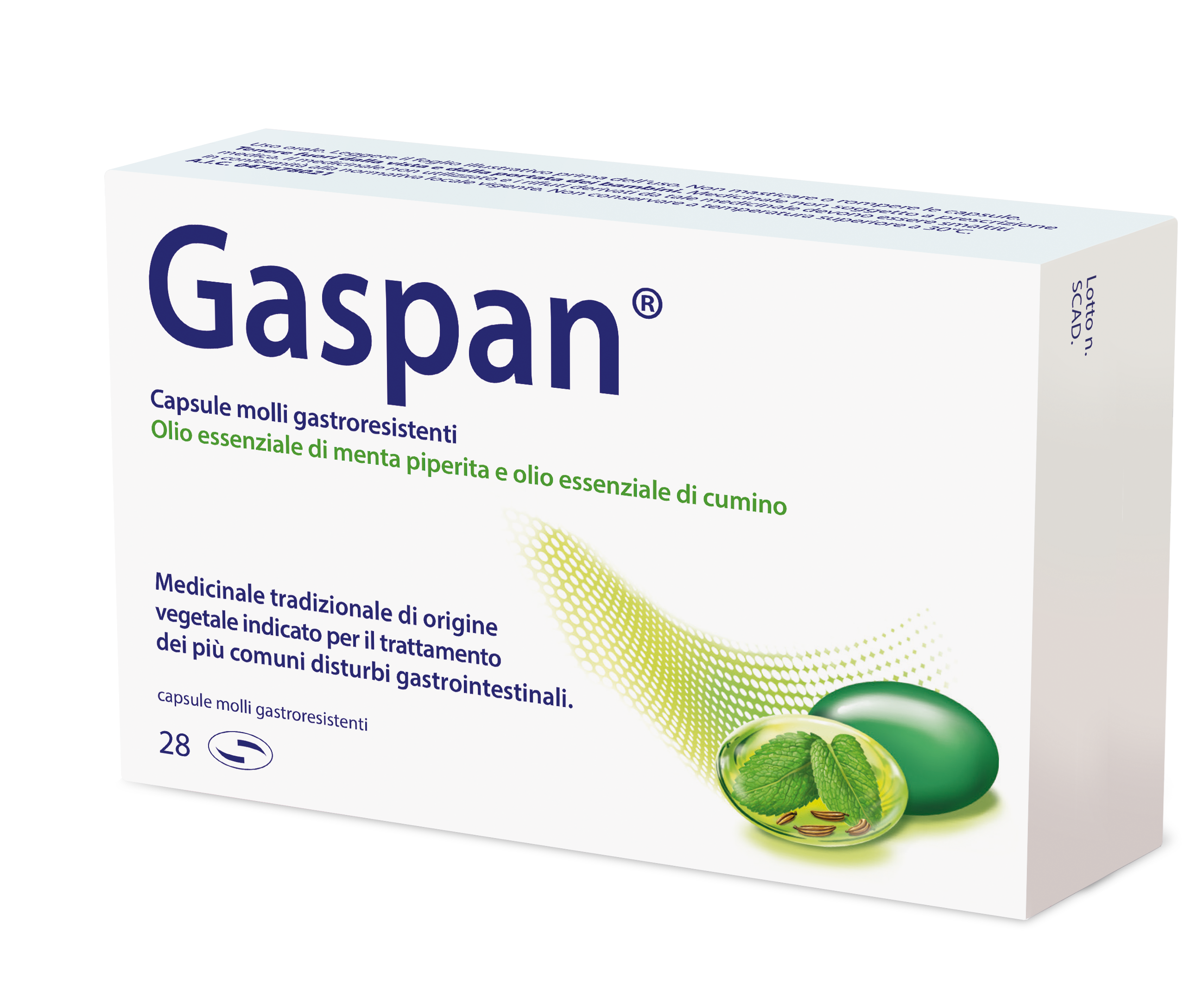 GASPAN*28CPS MOLLI GASTRORES - latuafarmacia.org
