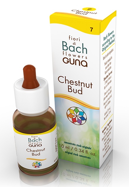 CHESTNUT BUD GOCCE 10 ML - latuafarmacia.org
