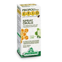 EPID SPRAY LIME 15 ML - latuafarmacia.org