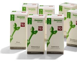 FICO RADICHETTE MACERATO GLICERICO 50 ML - latuafarmacia.org