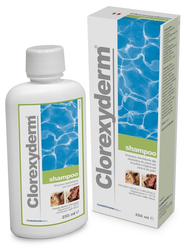 CLOREXYDERM SHAMPOO 250 ML - latuafarmacia.org