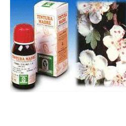 BIANCOSPINO 10 50ML TM - latuafarmacia.org