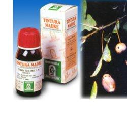 QUERCIA MARI 14 50ML TM - latuafarmacia.org
