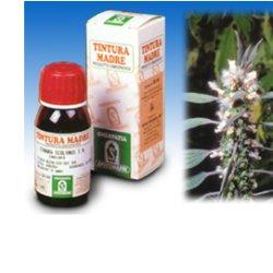 CARDIACA 16 50ML TM - latuafarmacia.org