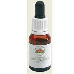 MACROCARPA AUSTRALIAN BUSH 15 ML - latuafarmacia.org