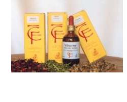 RIBES GEMME MACERATO GLICERICO 50 ML - latuafarmacia.org