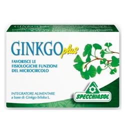 GINKGO PLUS 30 CAPSULE - latuafarmacia.org