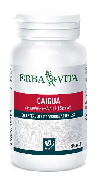 CAIGUA 60 CAPSULE 400 MG - latuafarmacia.org
