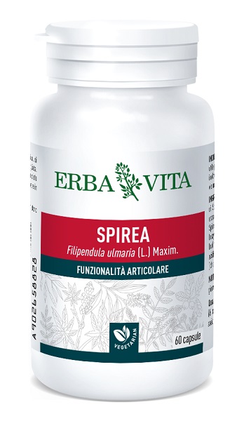 SPIREA ULMARIA 60 CAPSULE 400 MG - latuafarmacia.org