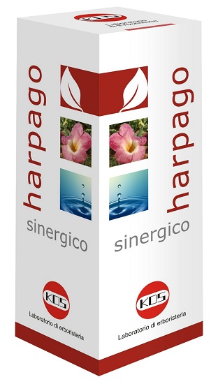 HARPAGO SINERGICO GOCCE 100 ML - latuafarmacia.org