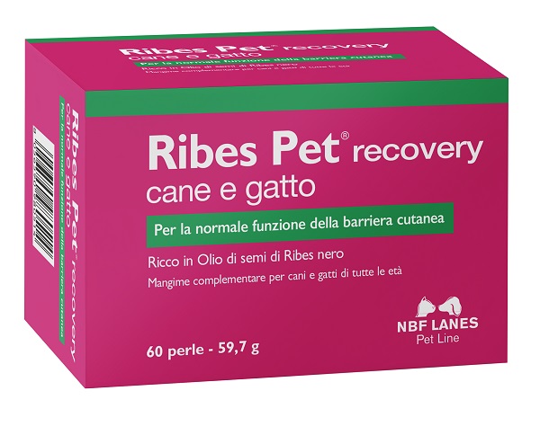 RIBES PET RECOVERY BLISTER 60 PERLE - latuafarmacia.org