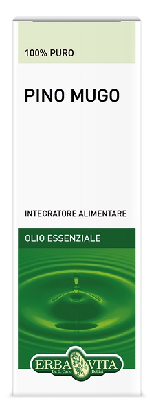 PINO MUGO OLIO ESSENZIALE 10 ML - latuafarmacia.org