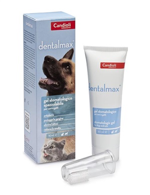 DENTALMAX GEL STOMATOLOGICO 50 ML - latuafarmacia.org