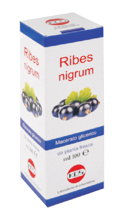 RIBES NIGRUM MACERATO GLICERICO 100 ML GOCCE - latuafarmacia.org