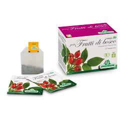 INFUSO BIO FRUTTA FRUTTI DI BOSCO 20 FILTRI - latuafarmacia.org