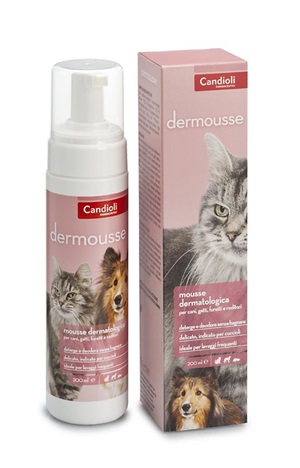 DERMOUSSE MOUSSE FLACONE 200 ML - latuafarmacia.org