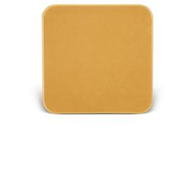 BARRIERA CUTANEA INTERAMENTE IN STOMAHESIVE PER LA PROTEZIONE DELL'AREA PERISTOMALE PLACCA STOMAHESIVE 10X10CM 5 PEZZI - latuafarmacia.org