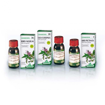 GEMMOSOL 24 FICO 50ML - latuafarmacia.org