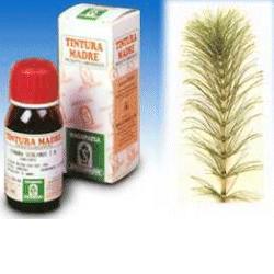 EQUISETO 12 50ML TM - latuafarmacia.org