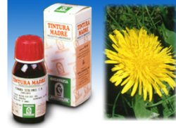 TARASSACO 28 50ML TM - latuafarmacia.org