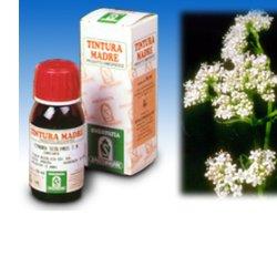 VALERIANA 36 TINTURA MADRE 50 ML - latuafarmacia.org