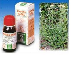 ACHILLEA 51 TINTURA MADRE 50 ML - latuafarmacia.org