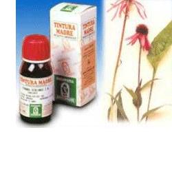 ECHINACEA 59 50ML TM - latuafarmacia.org