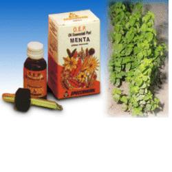 MENTA OLIO ESSENZIALE PURO 10 ML - latuafarmacia.org