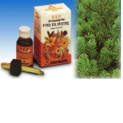 PINO SILVESTRE OLIO ESSENZIALE PURO 10 ML - latuafarmacia.org