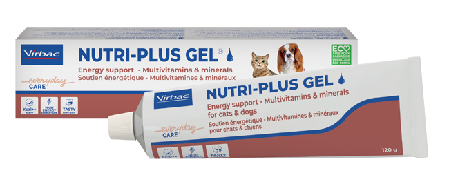 NUTRIPLUS GEL PASTA ORALE 120 G - latuafarmacia.org