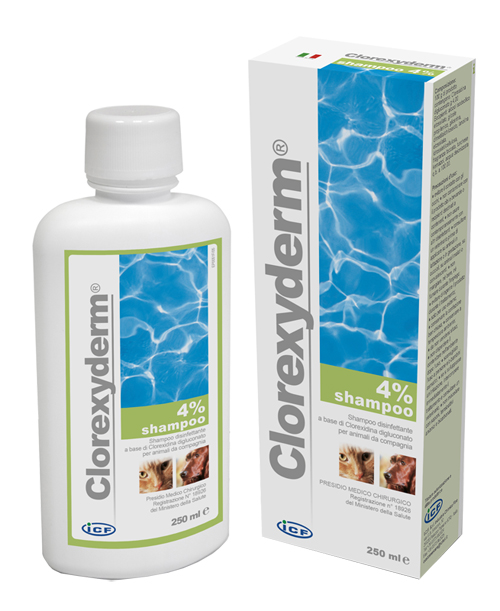 CLOREXYDERM SHAMPOO 4% 250 ML - latuafarmacia.org