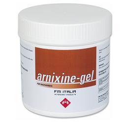 ARNIXINE GEL 750 ML - latuafarmacia.org