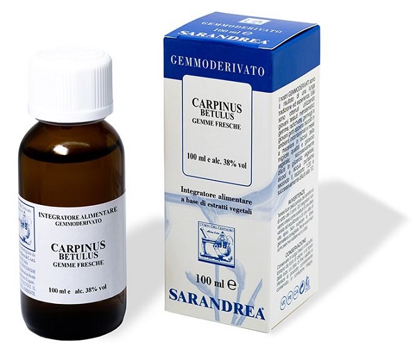 CARPINUS BETULUS 100 ML MACERATO GLICERICO - latuafarmacia.org