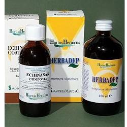 ECHINASAN COMP 150 ML - latuafarmacia.org