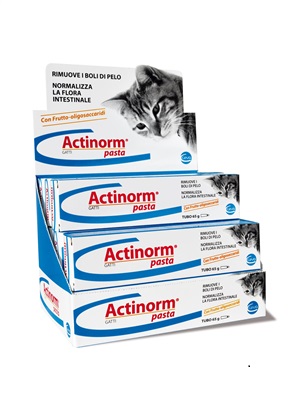 ACTINORM PASTA GATTI 65 G - latuafarmacia.org