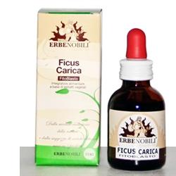 FITOBLASTO FICUS CARICA 50 ML - latuafarmacia.org