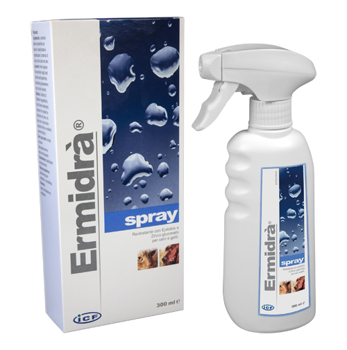 ERMIDRA' SPRAY 300 ML - latuafarmacia.org