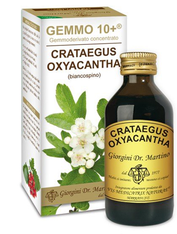 GEMMO 10+ BIANCOSPINO LIQUIDO ANALCOLICO 100 ML - latuafarmacia.org