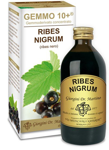 GEMMO 10+ RIBES NERO 200 ML LIQUIDO ANALCOLICO - latuafarmacia.org