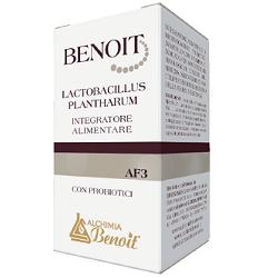 BENOIT LACTOBACILLUS PLANTHARUM 30 CAPSULE - latuafarmacia.org