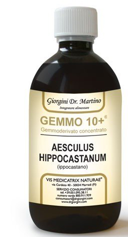 GEMOO 10+ GEMMODERIVATO CONCENTRATO IPPOCASTANO LIQUIDO ANALCOLICO AESCULUS HIPPOCASTANUM IPPOCASTANO 500 ML - latuafarmacia.org
