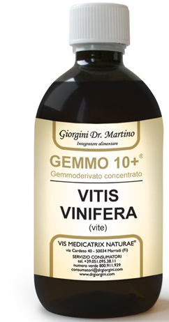 GEMMO 10+ VITE LIQUIDO ANALCOLICO 100 ML - latuafarmacia.org