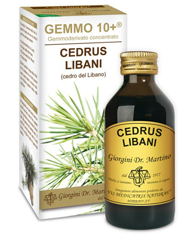 GEMMO 10+ CEDRO DEL LIBANO 100 ML LIQUIDO ANALCOLICO - latuafarmacia.org
