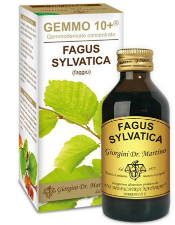 GEMMO 10+ FAGGIO 100 ML LIQUIDO ANALCOLICO - latuafarmacia.org