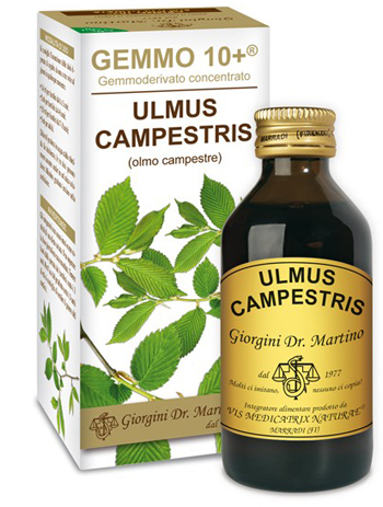 GEMMO 10+ OLMO CAMPESTRE 100 ML LIQUIDO ANALCOLICO - latuafarmacia.org