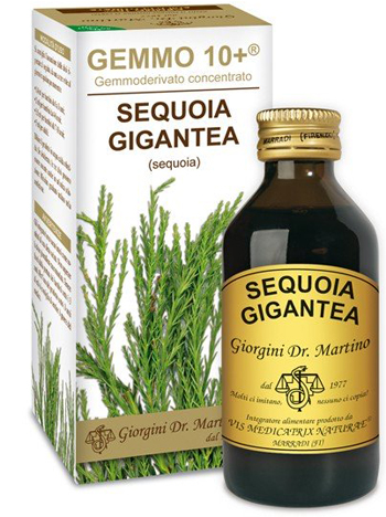 GEMMO 10+ SEQUOIA 100 ML LIQUIDO ANALCOLICO - latuafarmacia.org