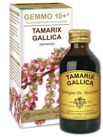 GEMMO 10+ TAMERICE 100 ML LIQUIDO ANALCOLICO - latuafarmacia.org